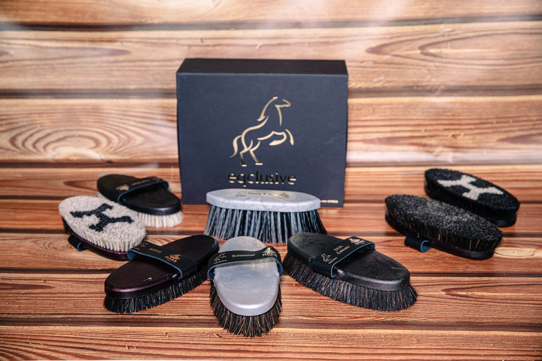 Eqclusive Packs - Which pack is best for me? - HAAS Horse Grooming Brushes