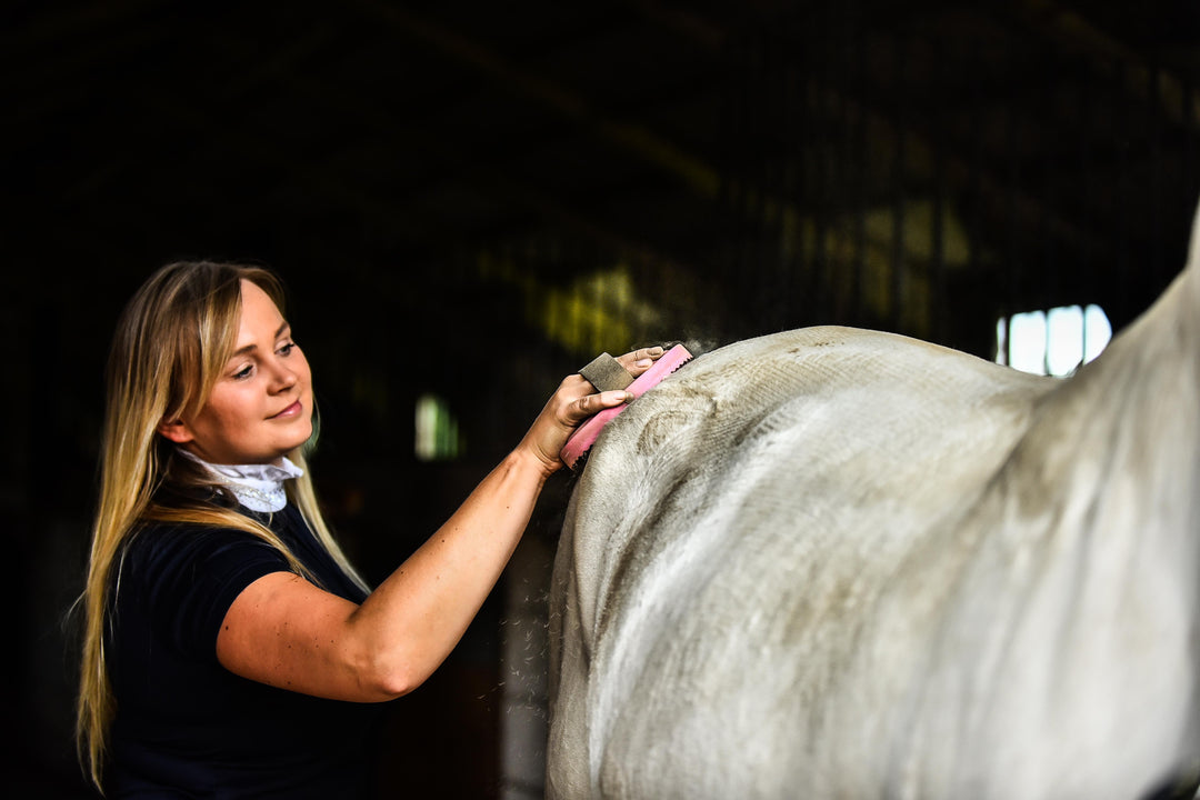 Why grooming your horse is so important? Grooming vs Bathing your horse
