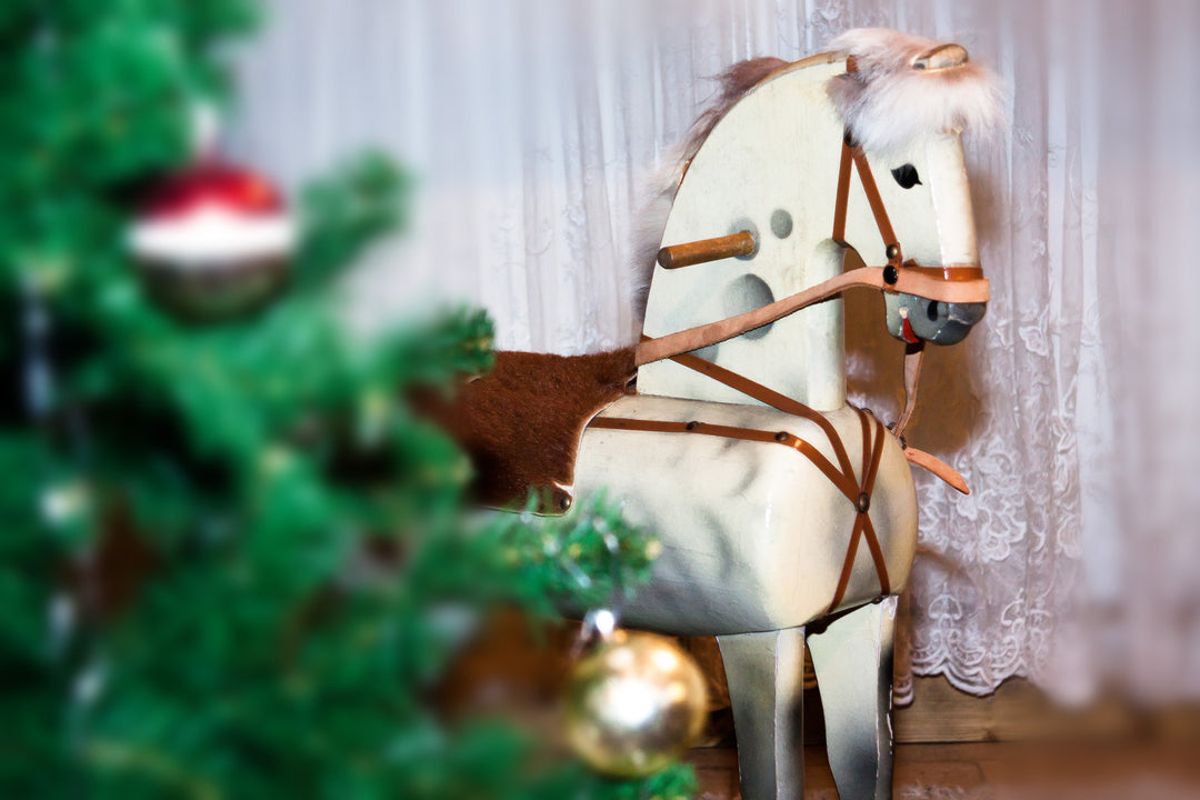 CHRISTMAS IS COMING - WONDERING WHAT TO BUY FOR A HORSE RIDER AND HORSE LOVER? WE ARE HERE TO HELP!
