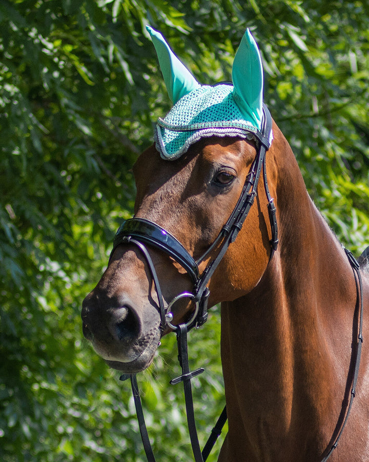 QHP Ear hat color