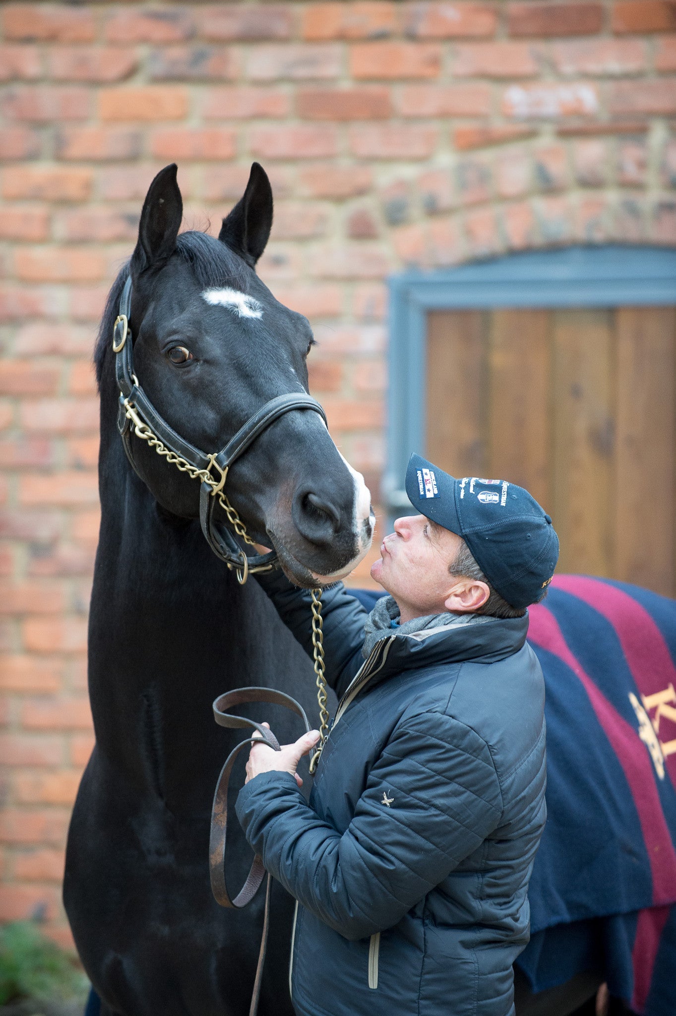 Alan Davies Quarter Marker Brush – Precision for Perfect Quarter Marks
