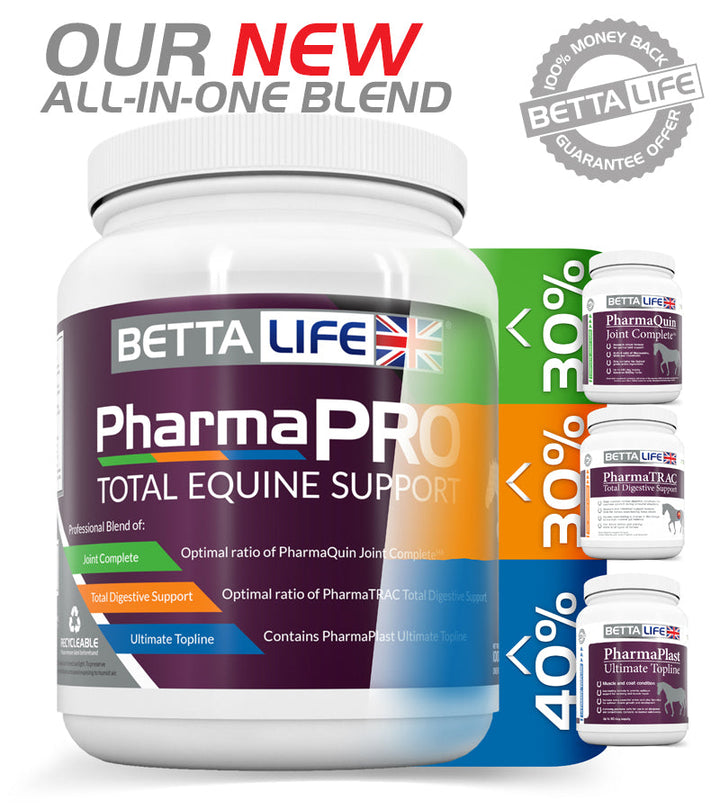 BETTALIFE PHARMAPRO TOTAL EQUINE SUPPORT