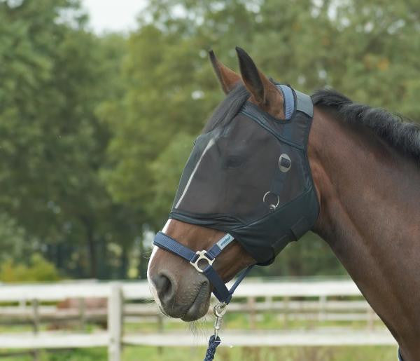 BUSSE Fly Mask FLY GUARD Shetland / Black - Eqclusive