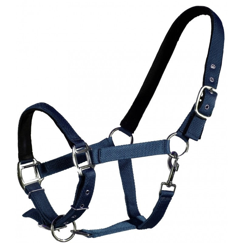 QHP Head Collar Lined  - Eqclusive  - 1