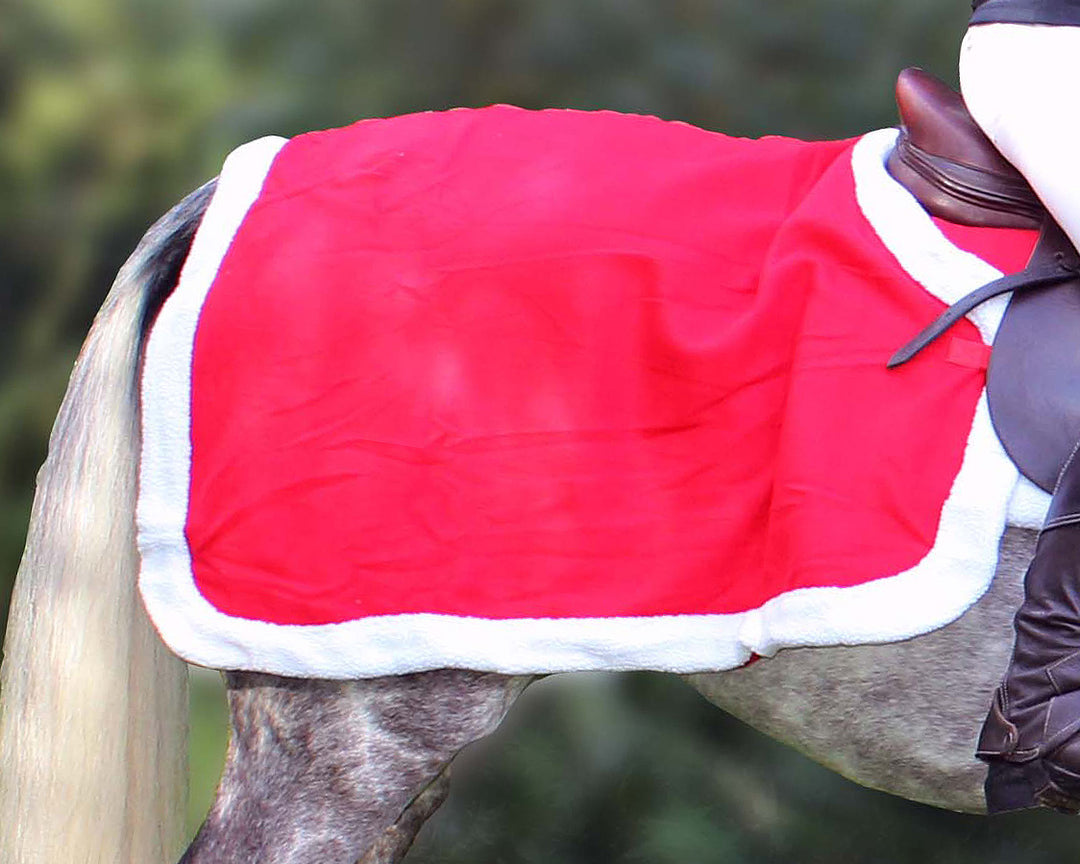 QHP Christmas Exercise Rug
