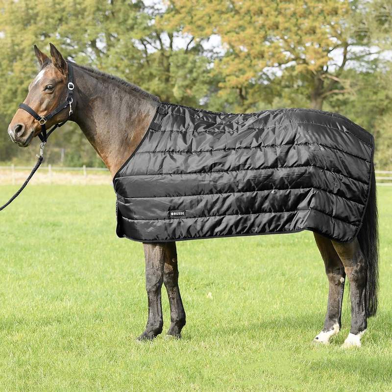 BUSSE THERMO STABLE RUG STANDARD 200
