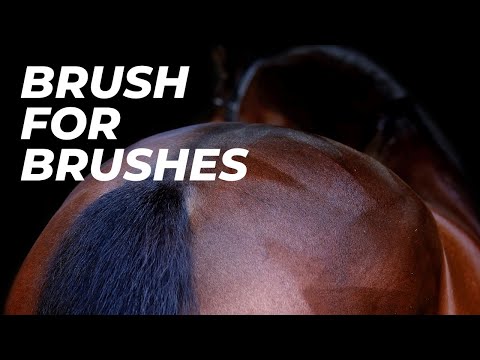 EQCLUSIVE Brush for brushes