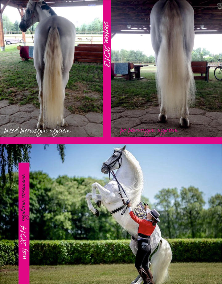 YOU & YOUR HORSE wow.... WHITE PEARL SHAMPOO white / grey horses shampoo concentrate  - Eqclusive  - 5