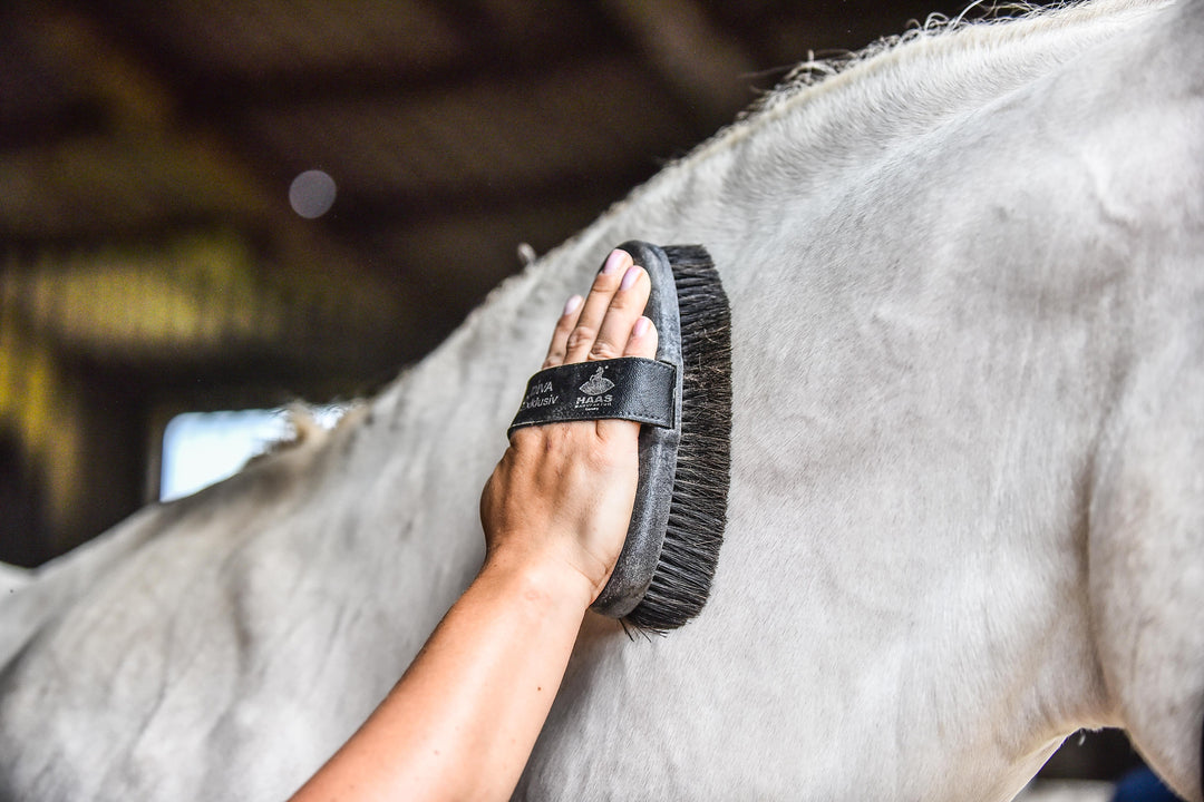 Enhancing Natural Grooming with Eqclusive's Patented Techniques and Haas Brushes