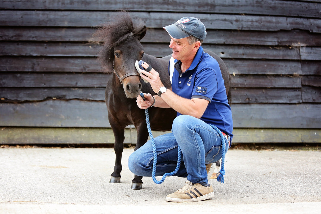 The Art of Horse Grooming: Unlocking the Secrets to a Glorious Shine