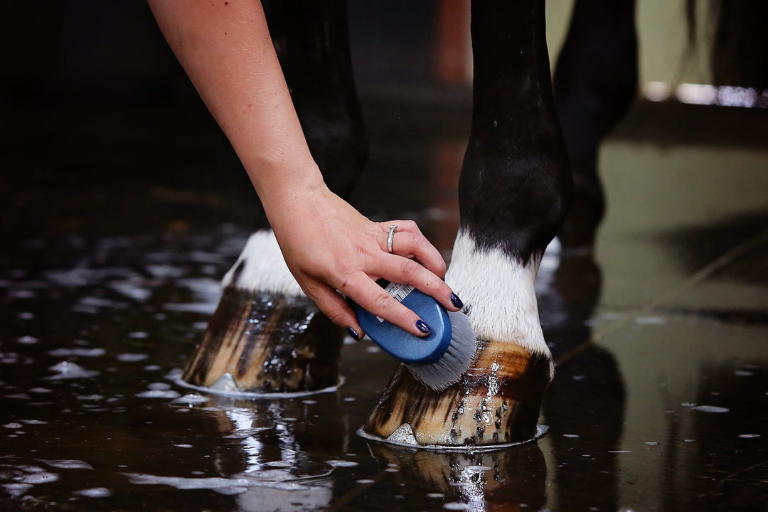 Horse Hoof Picks & Brushes