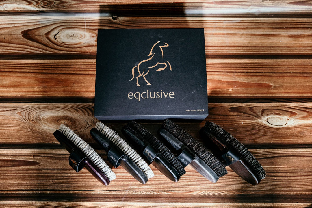 Eqclusive Black/Dark Bay and Bay Horse Pack ©