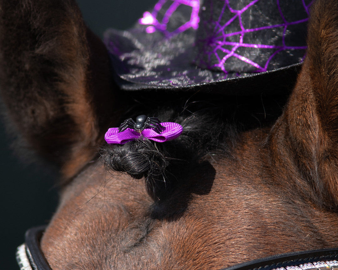 QHP Show bows Halloween