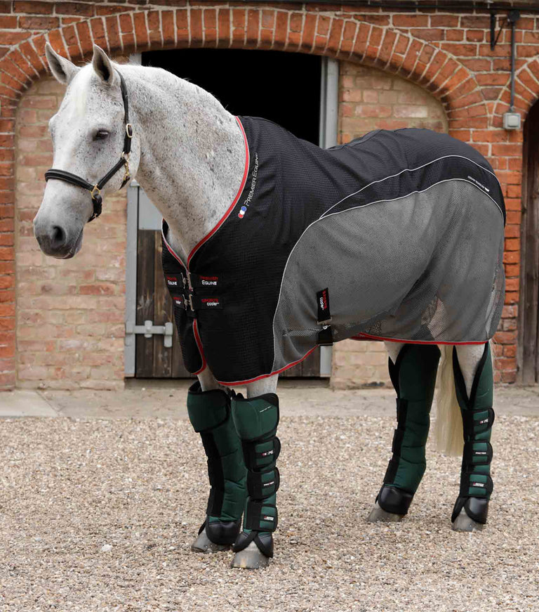 Quick Dry Horse Leg Wraps – Premier Equine Int. Ltd.