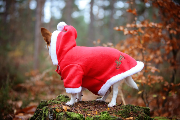 QHP Christmas Dog Coat