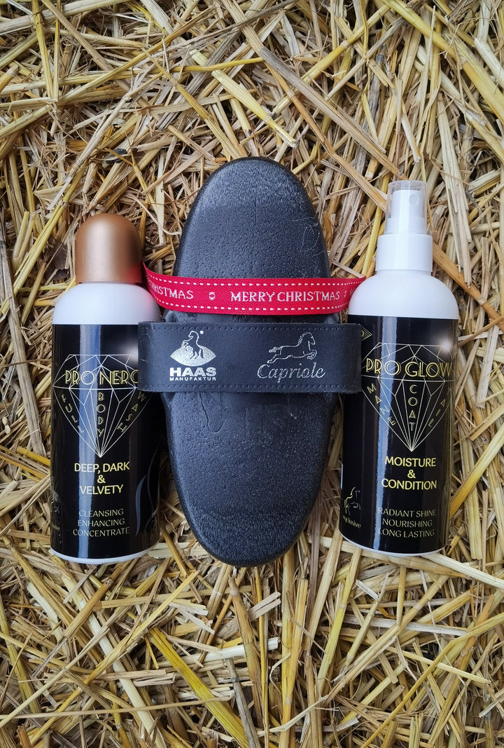 Eqclusive Pro Diamond Essential Horse Set