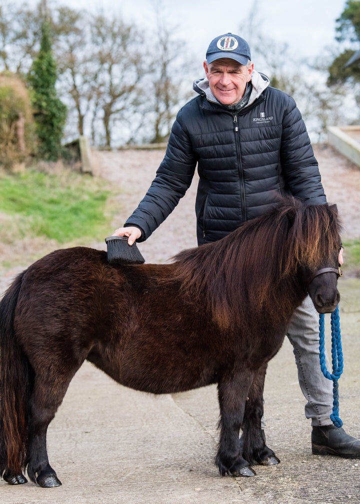 Alan Davies' Pony Flicky