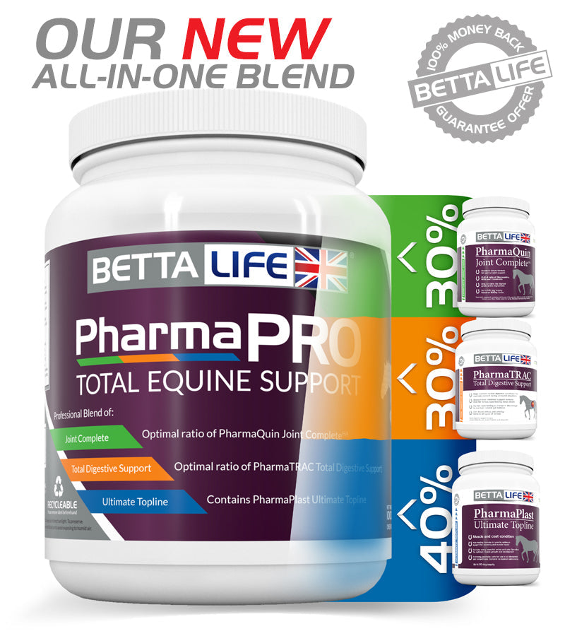 BETTALIFE PHARMAPRO TOTAL EQUINE SUPPORT