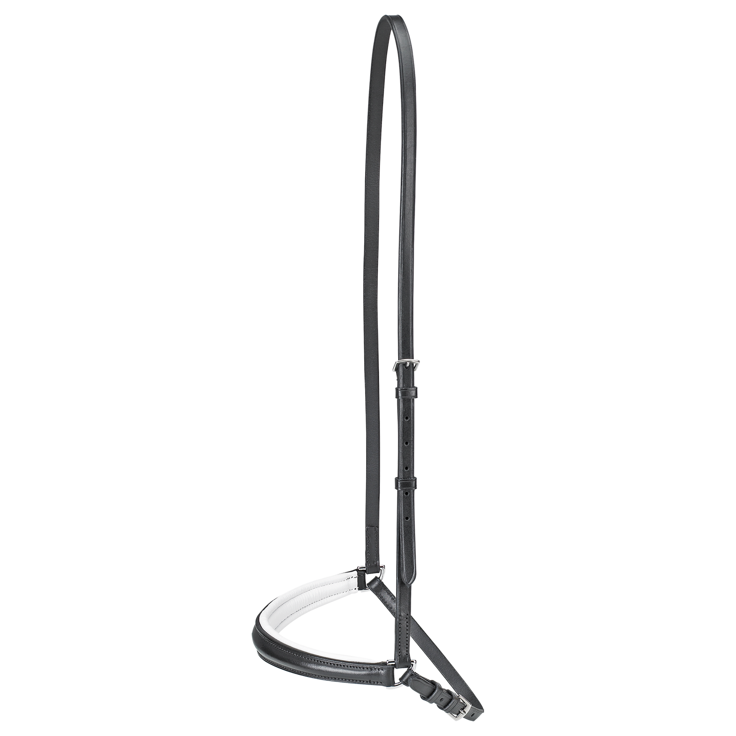 BUSSE  Dropped Noseband HANNOVER