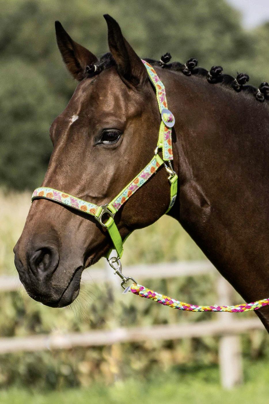 BUSSE Headcollar FUN