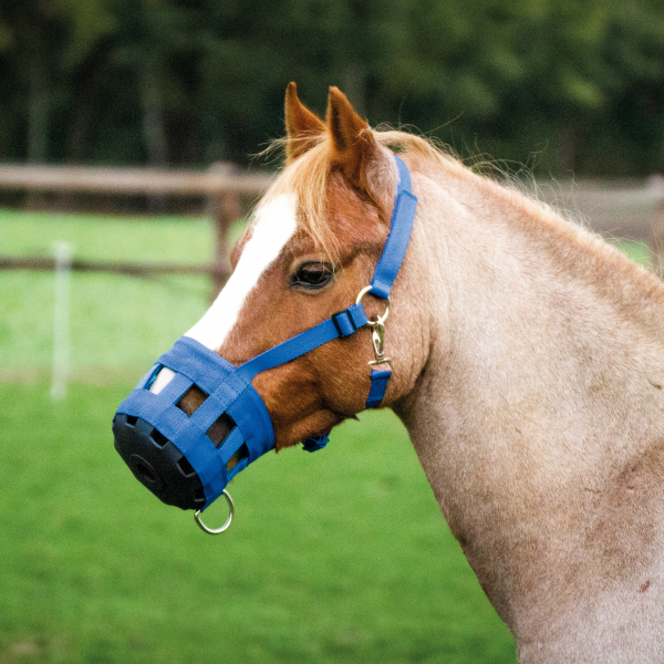 BUSSE GRAZING MUZZLE CLASSIC