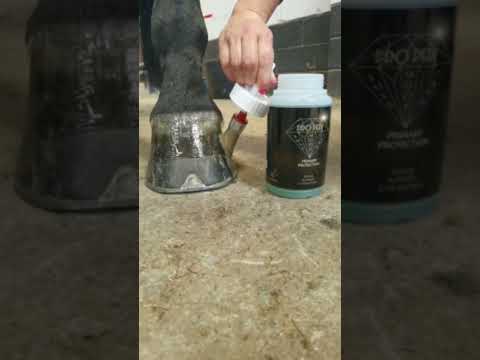 PRO PEDI Primary Protection Hoof Oil