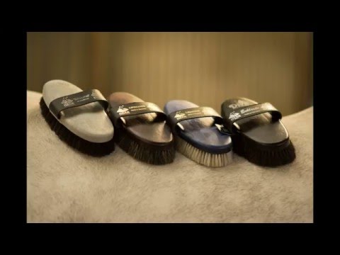 HAAS Schimmel Ladies