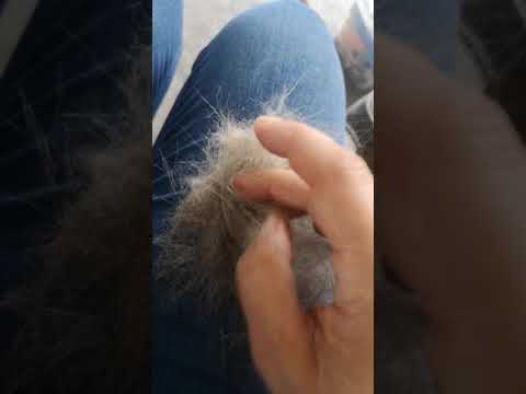 SleekEZ Small Groomer (Cat, Horse's Face/Legs, Rabbits)