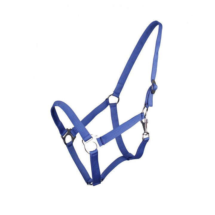 QHP Head Collar Slide Shetland / Blue - Eqclusive  - 8