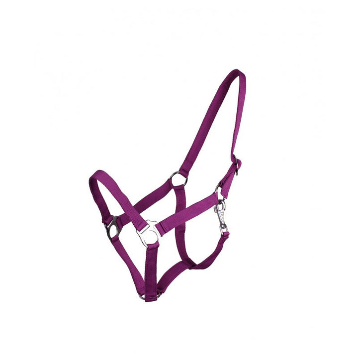 QHP Head Collar Slide Shetland / Purple - Eqclusive  - 7