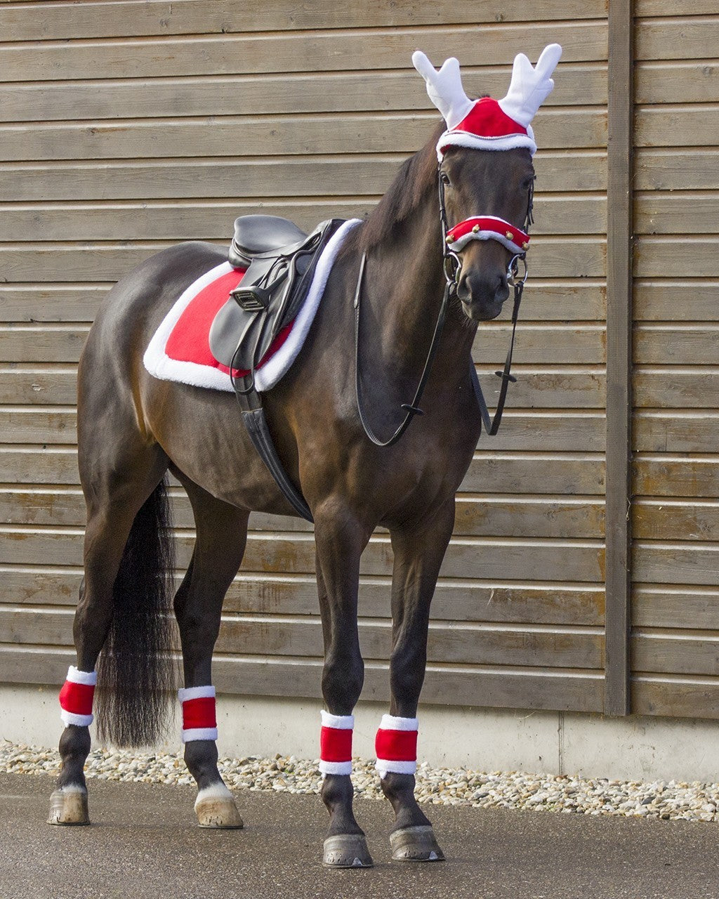QHP Christmas saddle pad