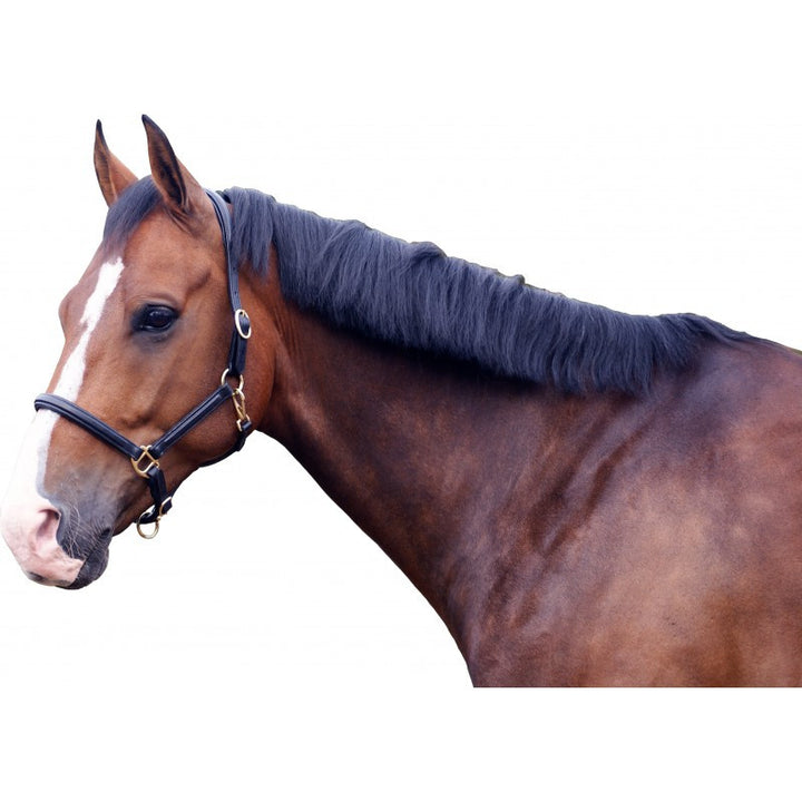 QHP Head Collar Leather Delicate  - Eqclusive  - 1