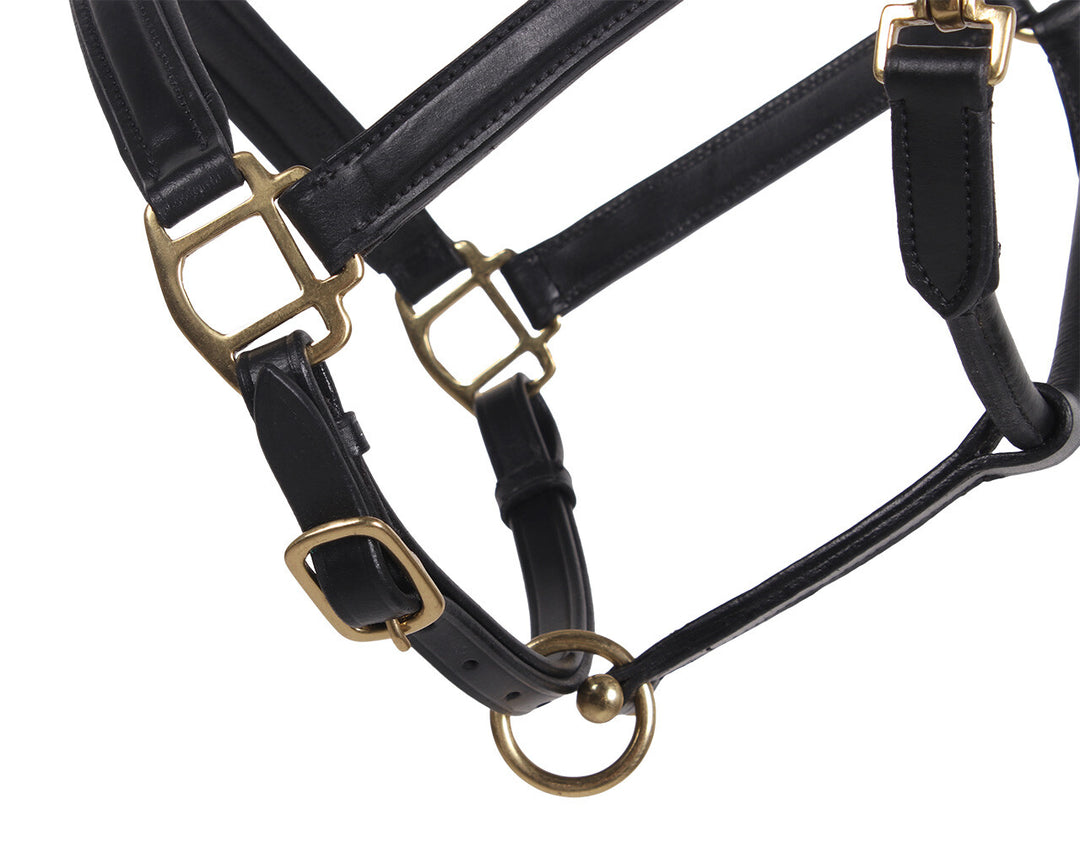 QHP Head Collar Leather Delicate