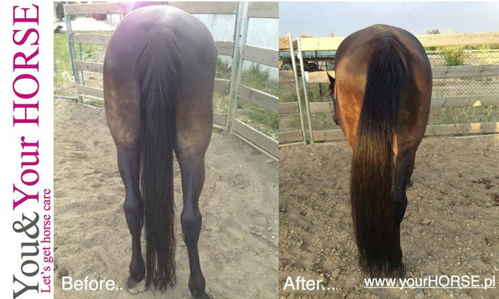 YOU & YOUR HORSE wow... HIGH SHINE-3D Effect MANE 'N' TAIL CONDITIONER SPRAY  - Eqclusive  - 7