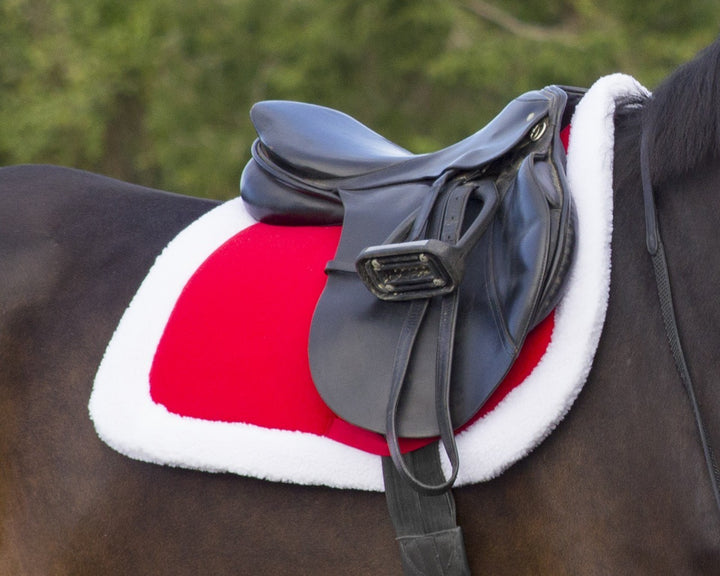 QHP Christmas saddle pad