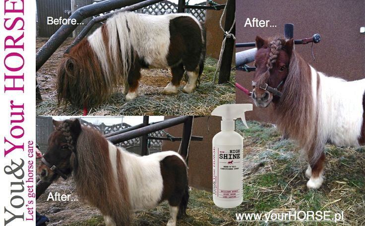 YOU & YOUR HORSE wow... HIGH SHINE-3D Effect MANE 'N' TAIL CONDITIONER SPRAY  - Eqclusive  - 8