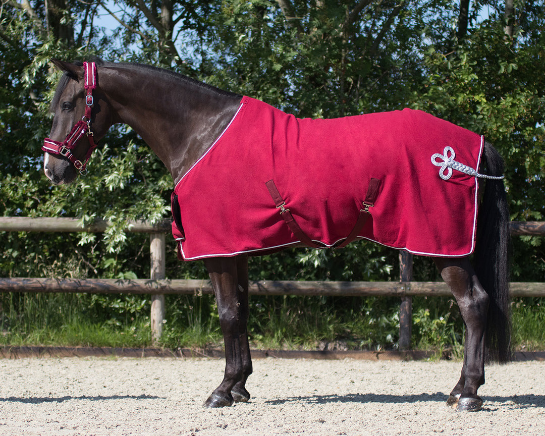 QHP  Fleece Rug with Ornament
