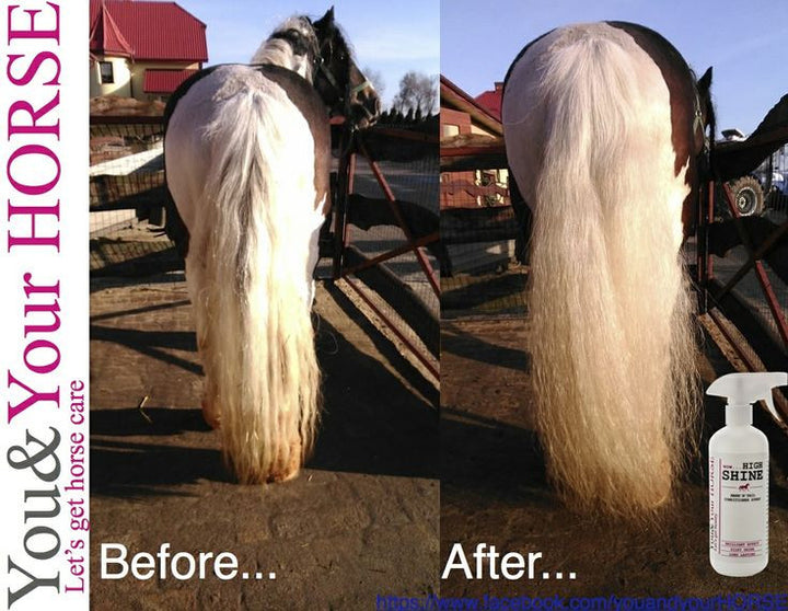YOU & YOUR HORSE wow... HIGH SHINE-3D Effect MANE 'N' TAIL CONDITIONER SPRAY  - Eqclusive  - 6
