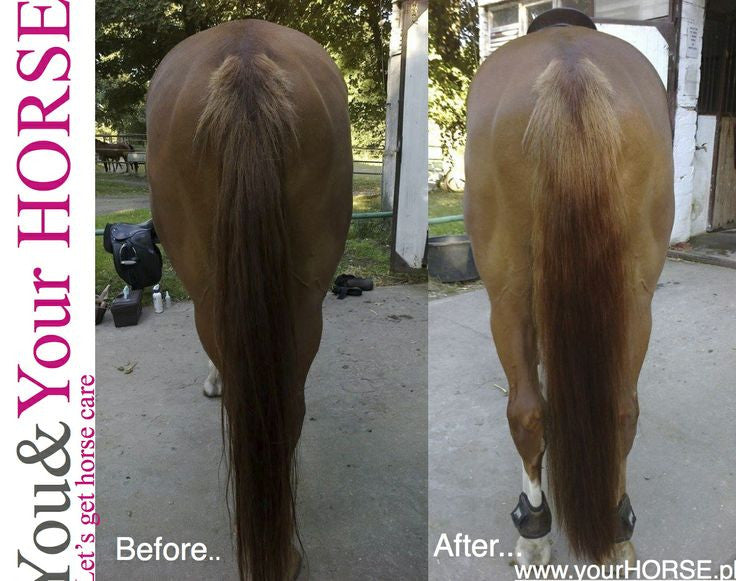 YOU & YOUR HORSE wow... HIGH SHINE-3D Effect MANE 'N' TAIL CONDITIONER SPRAY  - Eqclusive  - 4