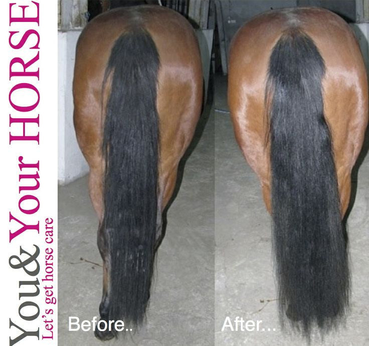 YOU & YOUR HORSE wow... HIGH SHINE-3D Effect MANE 'N' TAIL CONDITIONER SPRAY  - Eqclusive  - 5