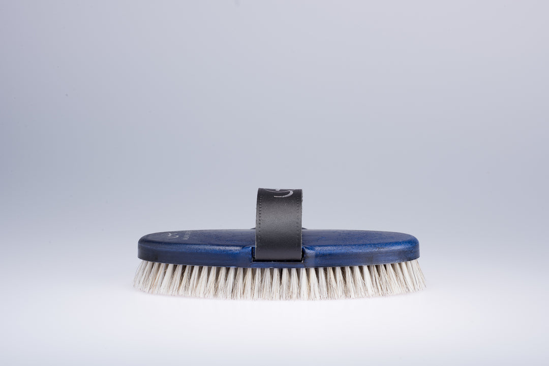 Alan Davies' Essential Pack of brushes
