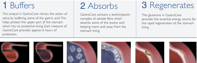 Nutri Science GastroCare  - Eqclusive  - 2
