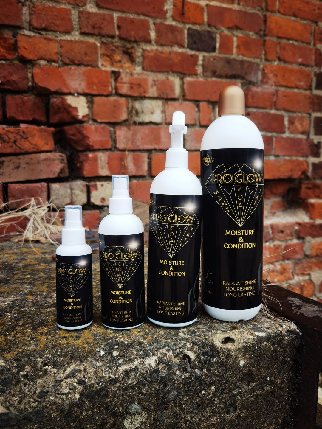 (24 kt.) Gold SPARKLE Spray for Dogs | Showseason®