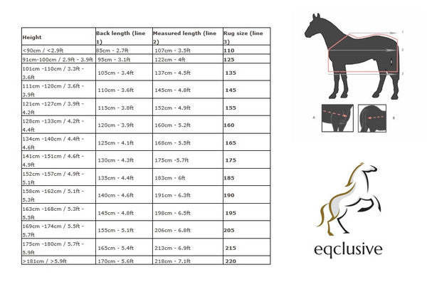 QHP Turnout Sheet Fixed Neck 300gr  - Eqclusive  - 4