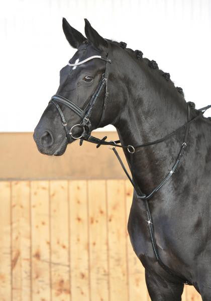BUSSE Martingale CRYSTAL Pony / Black/Silver - Eqclusive 