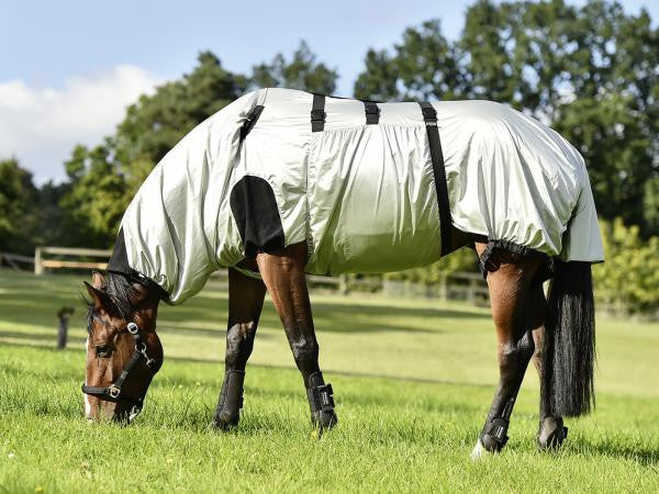 BUSSE Eczema Rug STRONG  - Eqclusive  - 3