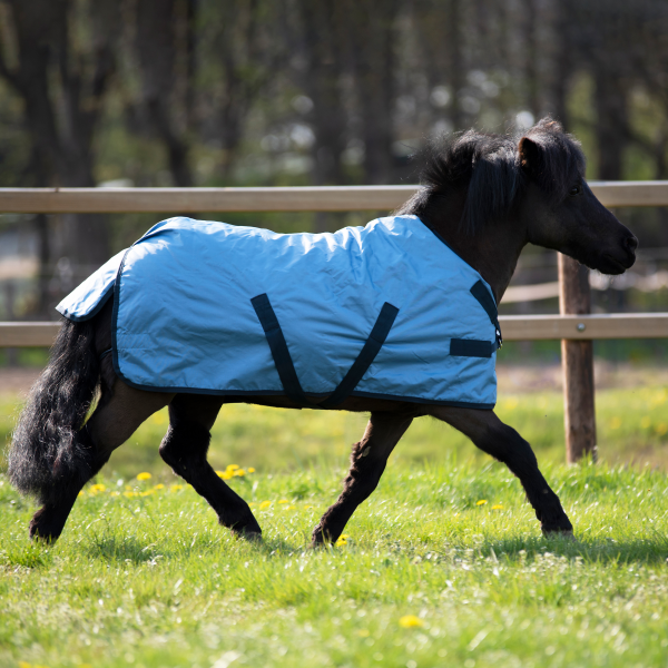 BUSSE TURNOUT RUG WINDCHILLY MINI 00