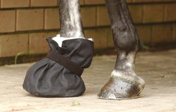 BUSSE Poultice Boot  - Eqclusive 