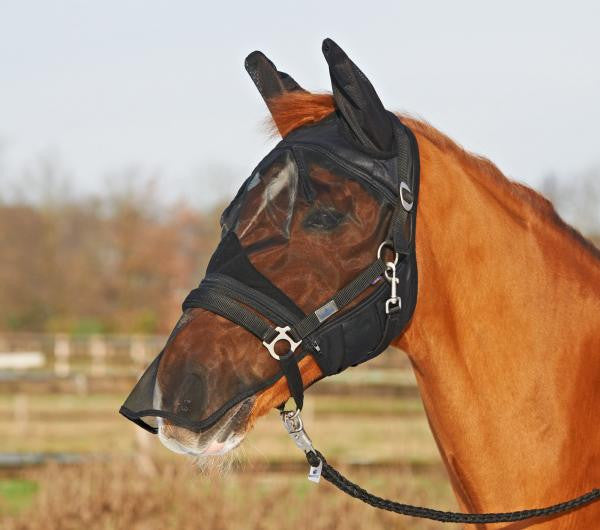 BUSSE Fly Mask FLY PROTECTOR Shetland / Black - Eqclusive  - 1