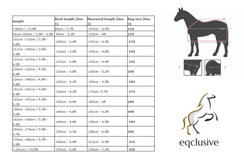 QHP Luxury Stable Rug  - Eqclusive  - 3